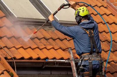 Démoussage et hydrofuge de toiture à Cobonne